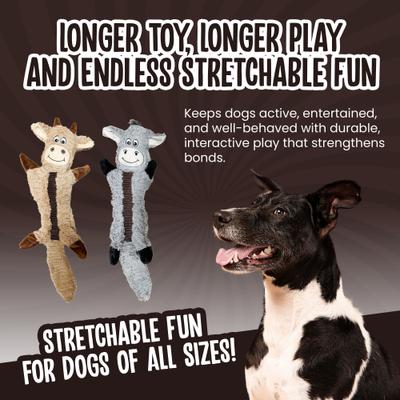 Show full view: Scoochie Pet Stretchables Squeaky Dog Chew Toy, 20-in slide 3 of 5