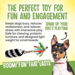 Scoochie Pet Super Scooch Firecracker Rope Dog Tug Toy, Large slide 2 of 5