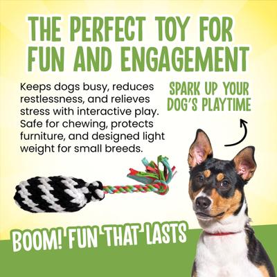 Show full view: Scoochie Pet Super Scooch Firecracker Rope Dog Tug Toy, Small slide 4 of 7