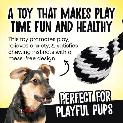 Show full view: Scoochie Pet Super Scooch Rope Drumstick Squeaky Dog Tug Toy, Large slide 4 of 6