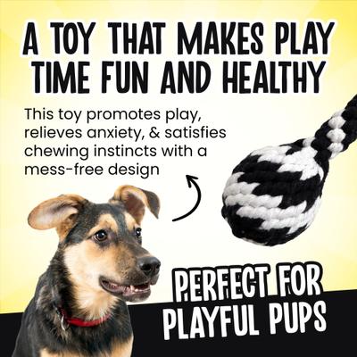 Show full view: Scoochie Pet Super Scooch Rope Drumstick Squeaky Dog Tug Toy, Small slide 3 of 5