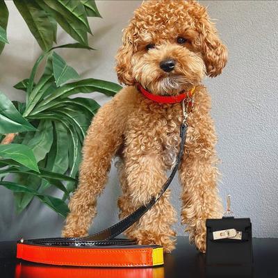 Show full view: Scotch & Co Mini Barkin Poop Bag Dispenser, Black slide 8 of 11