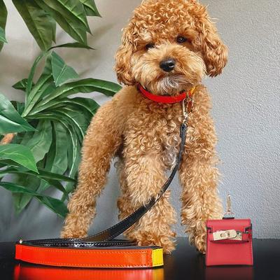 Show full view: Scotch & Co Mini Barkin Poop Bag Dispenser, Cherry Red slide 9 of 12