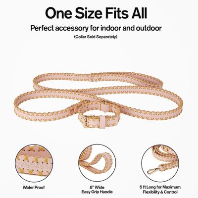 Show full view: Scotch & Co Pink/Gold Handcrafted Dog Leash slide 2 of 10