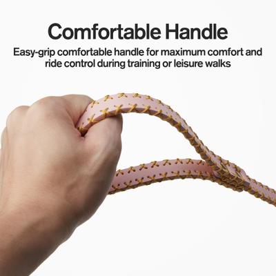 Show full view: Scotch & Co Pink/Gold Handcrafted Dog Leash slide 3 of 10