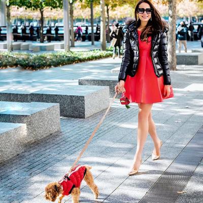 Show full view: Scotch & Co Pink/Gold Handcrafted Dog Leash slide 6 of 10