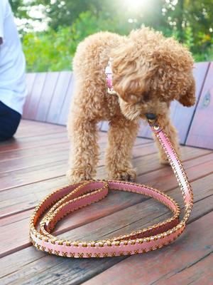Show full view: Scotch & Co Pink/Gold Handcrafted Dog Leash slide 7 of 10