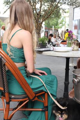 Show full view: Scotch & Co Pink/Gold Handcrafted Dog Leash slide 8 of 10