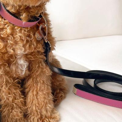 Show full view: Scotch & Co Pink/Tan Handcrafted Dog Leash slide 6 of 9