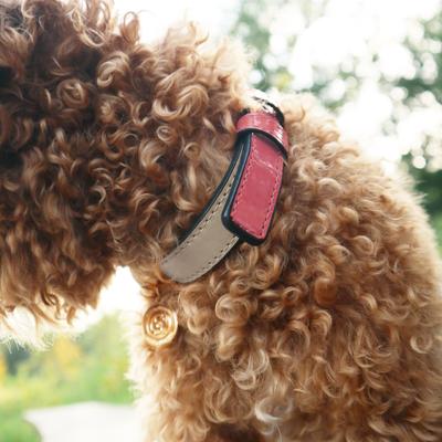 Show full view: Scotch & Co Pink/Tan Handcrafted Standard Dog Collar, Medium: 12.5 to 16-in neck, 0.8-in wide slide 6 of 11