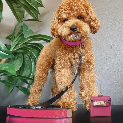 Show full view: Scotch & Co Pink/Tan Handcrafted Standard Dog Collar, Medium: 12.5 to 16-in neck, 0.8-in wide slide 8 of 11