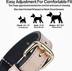 Scotch & Co Pink/Tan Handcrafted Standard Dog Collar, Small: 9 to 12-in neck, 0.8-in wide slide 2 of 8