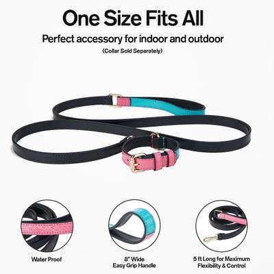 Show full view: Scotch & Co Teal/Pink Handcrafted Dog Leash slide 2 of 10