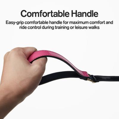 Show full view: Scotch & Co Teal/Pink Handcrafted Dog Leash slide 3 of 10