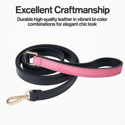 Show full view: Scotch & Co Teal/Pink Handcrafted Dog Leash slide 5 of 10