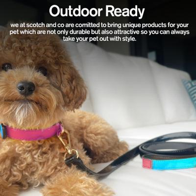 Show full view: Scotch & Co Teal/Pink Handcrafted Dog Leash slide 6 of 10