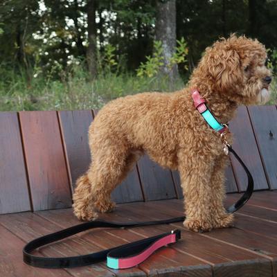Show full view: Scotch & Co Teal/Pink Handcrafted Dog Leash slide 8 of 10
