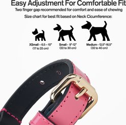 Scotch & Co Teal/Pink Handcrafted Standard Dog Collar, Medium: 12.5 to 16-in neck, 0.8-in wide slide 2 of 8