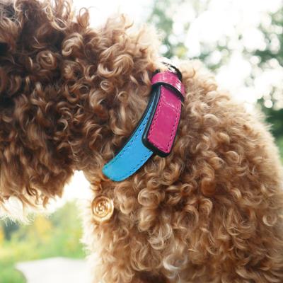 Show full view: Scotch & Co Teal/Pink Handcrafted Standard Dog Collar, Medium: 12.5 to 16-in neck, 0.8-in wide slide 5 of 10
