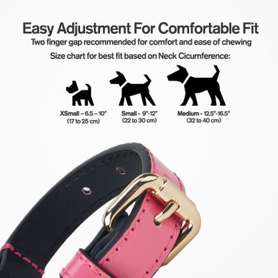 Show full view: Scotch & Co Teal/Pink Handcrafted Standard Dog Collar, Small: 9 to 12-in neck, 0.8-in wide slide 3 of 11