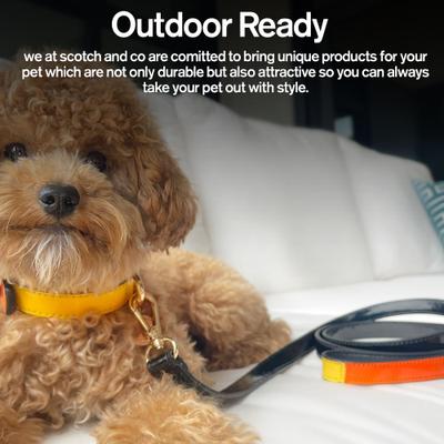 Show full view: Scotch & Co The Butterscotch Handcrafted Dog Leash slide 6 of 12