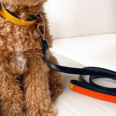 Show full view: Scotch & Co The Butterscotch Handcrafted Dog Leash slide 9 of 12