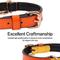 Show in main carousel: Scotch & Co The Butterscotch Handcrafted Standard Dog Collar, Medium: 12.5 to 16-in neck, 0.8-in wide slide 4 of 10