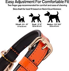 Scotch & Co The Butterscotch Handcrafted Standard Dog Collar, Small: 9 to 12-in neck, 0.8-in wide slide 2 of 8
