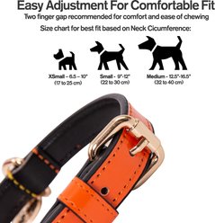 Scotch & Co The Butterscotch Handcrafted Standard Dog Collar, X-Small: 6.5 to 10-in neck, 0.8-in wide slide 2 of 8