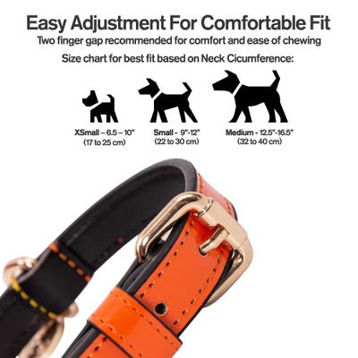 Show full view: Scotch & Co The Butterscotch Handcrafted Standard Dog Collar, X-Small: 6.5 to 10-in neck, 0.8-in wide slide 2 of 10