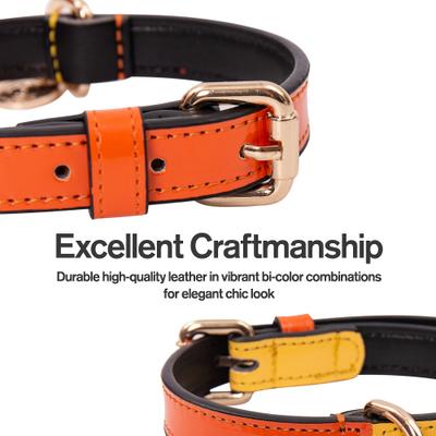 Show full view: Scotch & Co The Butterscotch Handcrafted Standard Dog Collar, X-Small: 6.5 to 10-in neck, 0.8-in wide slide 4 of 10