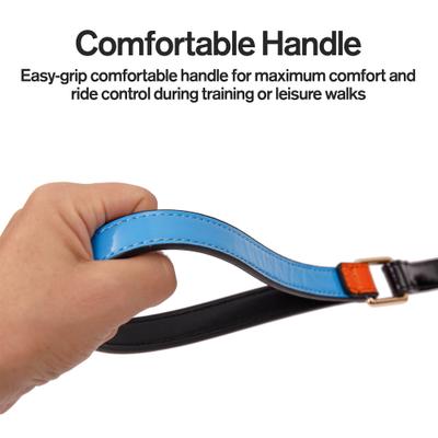 Show full view: Scotch & Co The Daisy Handcrafted Dog Leash slide 2 of 10