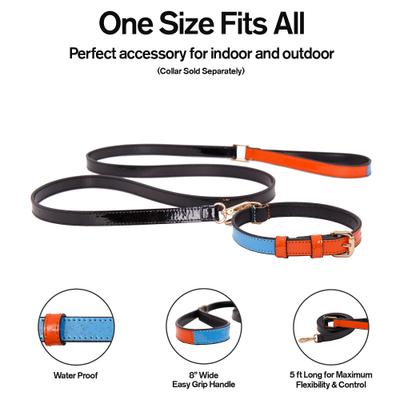 Show full view: Scotch & Co The Daisy Handcrafted Dog Leash slide 5 of 10