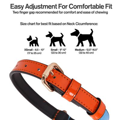 Show full view: Scotch & Co The Daisy Handcrafted Standard Dog Collar, Medium: 12.5 to 16-in neck, 0.8-in wide slide 2 of 11