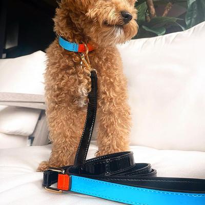 Show full view: Scotch & Co The Daisy Handcrafted Standard Dog Collar, Medium: 12.5 to 16-in neck, 0.8-in wide slide 9 of 11