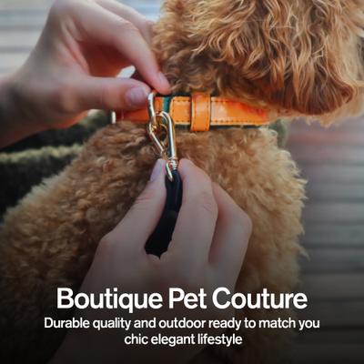 Show full view: Scotch & Co The Daisy Handcrafted Standard Dog Collar, Small: 9 to 12-in neck, 0.8-in wide slide 5 of 11