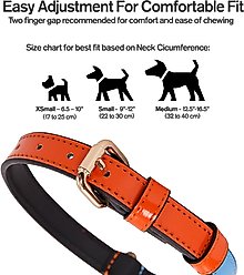 Scotch & Co The Daisy Handcrafted Standard Dog Collar, X-Small: 6.5 to 10-in neck, 0.8-in wide slide 2 of 9