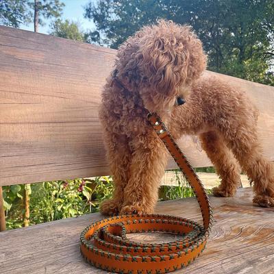 Show full view: Scotch & Co The Ellie Handcrafted Dog Leash slide 7 of 10