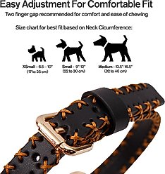 Scotch & Co The Lola Handcrafted Standard Dog Collar, Small: 9 to 12-in neck, 0.8-in wide slide 2 of 6