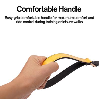 Show full view: Scotch & Co The Milo Handcrafted Dog Leash slide 3 of 10