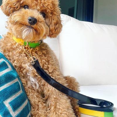 Show full view: Scotch & Co The Milo Handcrafted Dog Leash slide 8 of 10