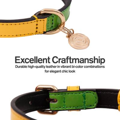 Show full view: Scotch & Co The Milo Handcrafted Standard Dog Collar, Medium: 12.5 to 16-in neck, 0.8-in wide slide 4 of 9