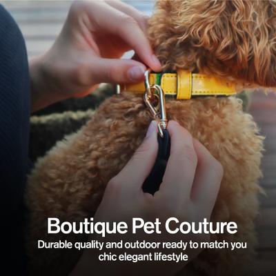 Show full view: Scotch & Co The Milo Handcrafted Standard Dog Collar, Medium: 12.5 to 16-in neck, 0.8-in wide slide 5 of 9