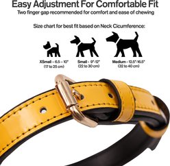 Scotch & Co The Milo Handcrafted Standard Dog Collar, X-Small: 6.5 to 10-in neck, 0.8-in wide slide 2 of 7