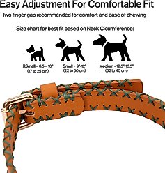 Scotch & Co The Molly Handcrafted Standard Dog Collar, Small: 9 to 12-in neck, 0.8-in wide slide 2 of 6