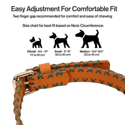 Show full view: Scotch & Co The Molly Handcrafted Standard Dog Collar, X-Small: 6.5 to 10-in neck, 0.8-in wide slide 3 of 9
