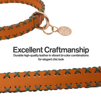 Show full view: Scotch & Co The Molly Handcrafted Standard Dog Collar, X-Small: 6.5 to 10-in neck, 0.8-in wide slide 5 of 9