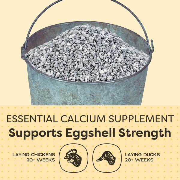 Show full view: Scratch and Peck Feeds Chicken & Duck Essential Calcium Supplement Limestone, 8-lb pouch slide 4 of 8