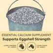Show in main carousel: Scratch and Peck Feeds Chicken & Duck Essential Calcium Supplement Limestone, 8-lb pouch slide 4 of 8