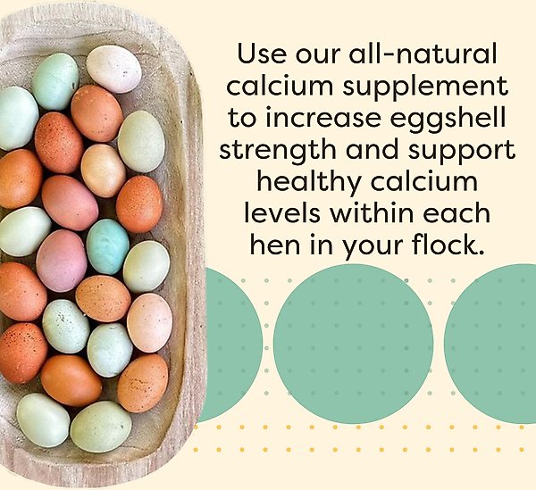 Show full view: Scratch and Peck Feeds Chicken & Duck Essential Calcium Supplement Limestone, 8-lb pouch slide 6 of 8